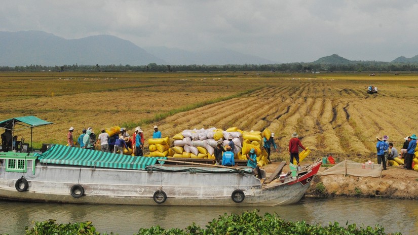 Ảnh minh họa: VGP