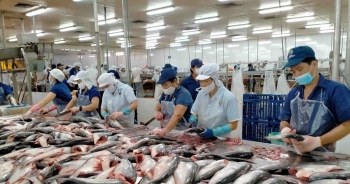 Lãi ròng của IDI sụt giảm 16% sau kiểm toán