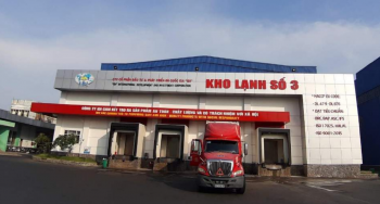 IDI có thể mang về 136 triệu USD xuất khẩu cá tra năm 2024