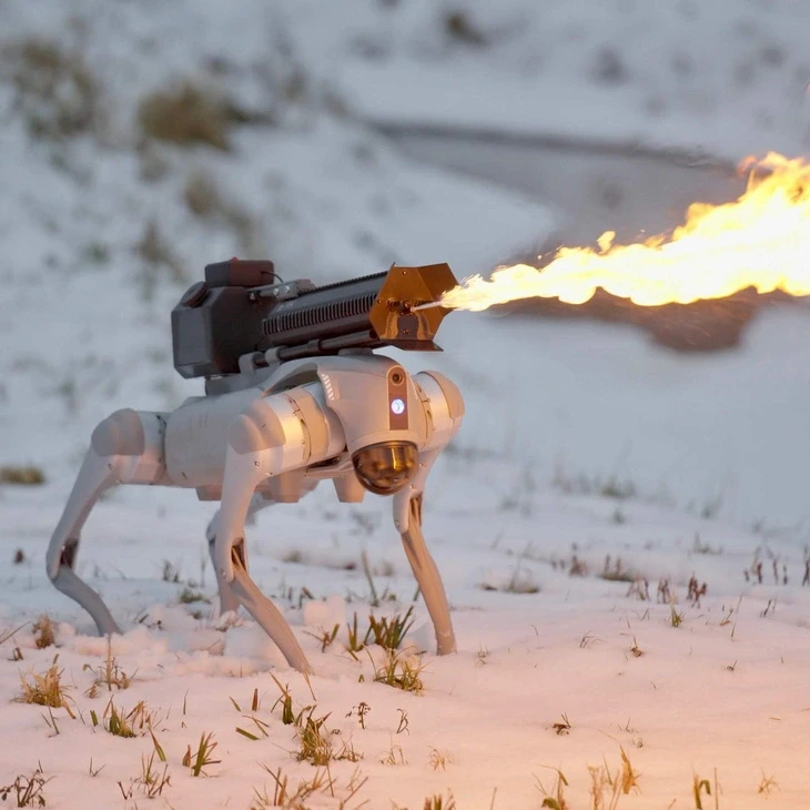 Ch&uacute; ch&oacute; robot &amp;amp;amp;quot;Thermonator&amp;amp;amp;quot; c&oacute; gi&aacute; ni&ecirc;m yết gần 10.000 USD. Ảnh: Throwflame