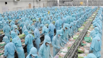 IDI mới hoàn thành 6% kế hoạch năm về lãi ròng trong quý 1