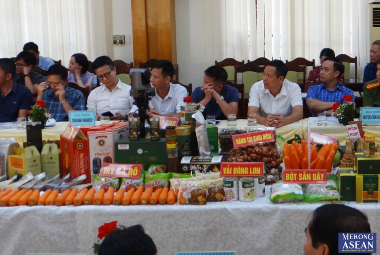 Tổng diện t&iacute;ch rau m&agrave;u của Hải Dương lu&ocirc;n duy tr&igrave; khoảng tr&ecirc;n 41.000 ha; tổng sản lượng 900.000 tấn/năm&hellip; Ảnh tư liệu minh họa.