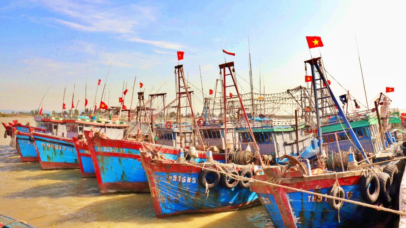 VINAFIS: Lệnh đ&aacute;nh bắt c&aacute; của Trung Quốc vi phạm luật ph&aacute;p quốc tế, trong đ&oacute; c&oacute; C&ocirc;ng ước của Li&ecirc;n hợp quốc về Luật biển năm 1982 (UNCLOS) phản đối lệnh đ&aacute;nh bắt c&aacute;.