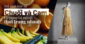 Lối đi mới cho ngành thời trang nhờ sợi sinh học từ chuối và cam