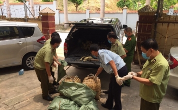 Bộ NN&amp;PTNT ra văn bản ngăn chặn nhập lậu gia cầm vào Việt Nam