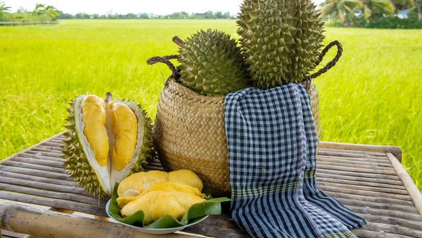 Sầu ri&ecirc;ng Việt Nam lần đầu ti&ecirc;n c&oacute; mặt tại thị trường Anh
