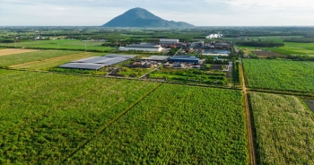 Áp lực lãi vay lớn, TTC AgriS chi 460 tỷ đồng mua lại trái phiếu trước hạn