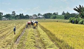 An Giang kiến nghị chính sách đặc thù cho doanh nghiệp đầu tư vào nông nghiệp