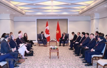 Đề nghị Canada tiếp tục tạo điều kiện cho hàng hóa xuất khẩu của Việt Nam