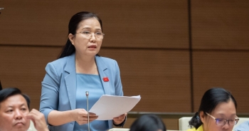 'Việc tăng giá điện do EVN có thua lỗ lớn là chưa phù hợp'
