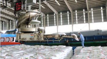 Lượng tiêu thụ NPK của Đạm Cà Mau dự kiến cao gấp 12 lần trong tháng 5