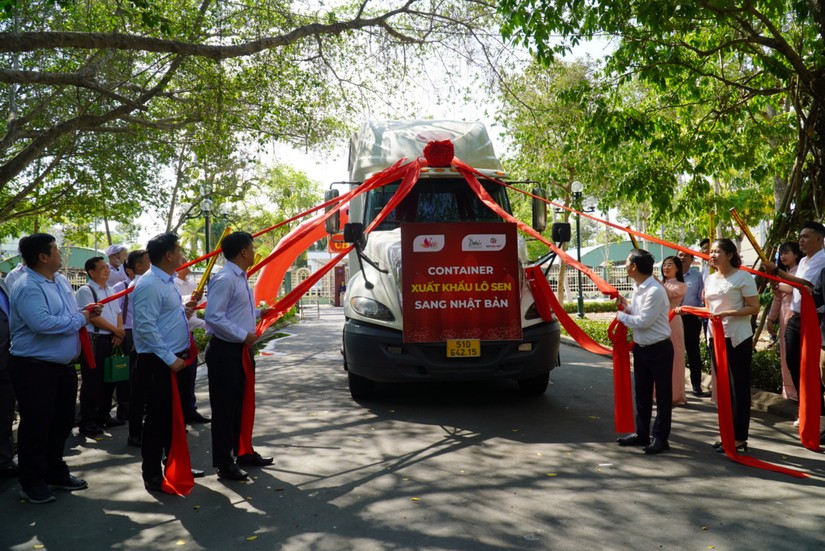 Đồng Th&aacute;p lần đầu xuất khẩu 15 tấn củ sen tươi sang Nhật Bản