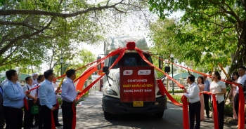 Đồng Tháp lần đầu xuất khẩu 15 tấn củ sen tươi sang Nhật Bản