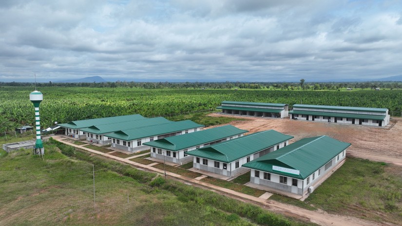 C&aacute;c khu nh&agrave; ở d&agrave;nh cho CBNV l&agrave;m việc tại Khu li&ecirc;n hợp n&ocirc;ng nghiệp của Thaco Agri