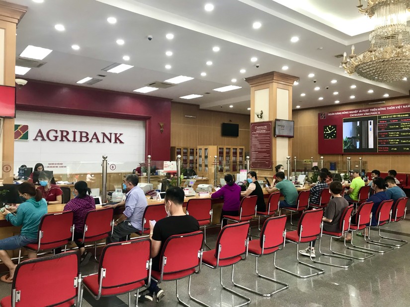 Agribank: Tín dụng tăng hơn 9% sau 11 tháng năm 2024