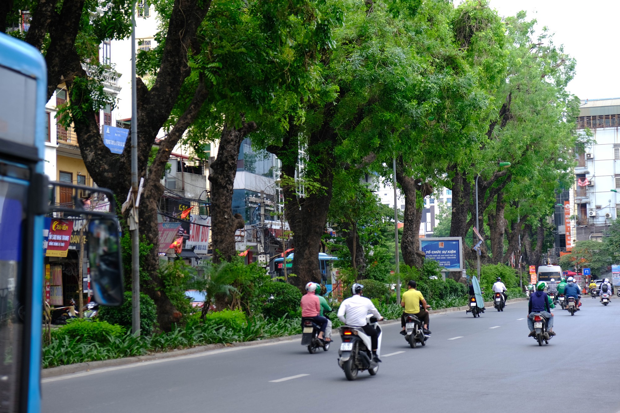 Chị Mai, hiện l&agrave;m việc tại quận Cầu Giấy chia sẻ: &amp;amp;amp;quot;Đường L&aacute;ng l&agrave; đường đi l&agrave;m h&agrave;ng ng&agrave;y của t&ocirc;i. Mỗi khi đi qua đoạn c&oacute; h&agrave;ng c&acirc;y x&agrave; cừ tỏa b&oacute;ng m&aacute;t, t&ocirc;i cảm thấy rất dễ chịu. H&agrave; Nội n&ecirc;n c&oacute; nhiều đoạn đường c&oacute; c&acirc;y xanh tỏa b&oacute;ng m&aacute;t để kh&ocirc;ng kh&iacute; v&agrave;o m&ugrave;a h&egrave; bớt ngột ngạt hơn&amp;amp;amp;quot;. Ảnh: L&ecirc; An/555win Login.
