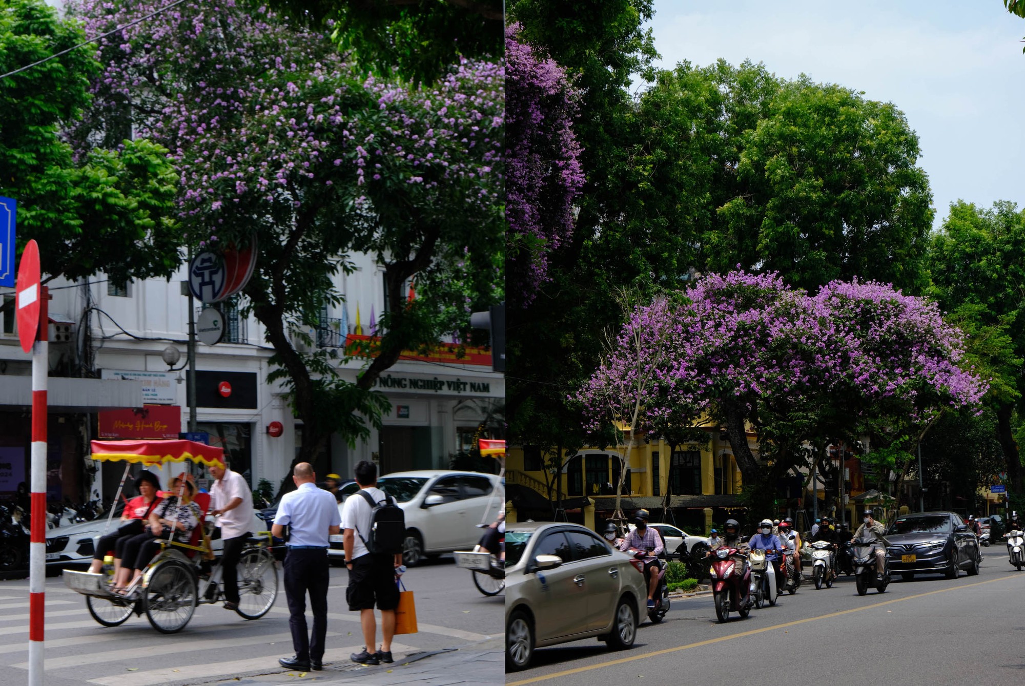 Bạn Trung, sinh vi&ecirc;n năm cuối Học viện Ng&acirc;n h&agrave;ng, đang rảo bước tr&ecirc;n phố Huế trong ng&agrave;y h&egrave; oi ả, chia sẻ: &amp;amp;amp;quot;Cứ đến mỗi m&ugrave;a hoa bằng lăng nở, l&ograve;ng m&igrave;nh lại man m&aacute;c nỗi buồn nhớ về tuổi học tr&ograve; đầy kỷ niệm. M&igrave;nh vẫn nhớ v&agrave;o năm lớp 12, nh&oacute;m bạn m&igrave;nh c&ugrave;ng &eacute;p hoa v&agrave;o cuốn lưu b&uacute;t, d&agrave;nh những lời nhắn gửi &yacute; nghĩa tới nhau&amp;amp;amp;quot;. Ảnh: L&ecirc; An/555win Login.