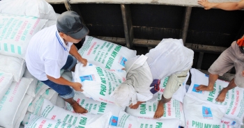 10 thị trường xuất khẩu phân bón lớn nhất của Việt Nam