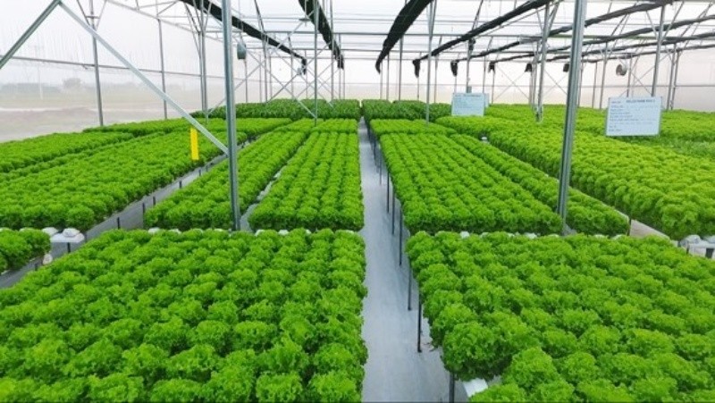 Huy động nguồn lực ph&aacute;t triển n&ocirc;ng nghiệp H&agrave; Nội bền vững. Ảnh: UBND H&agrave; Nội