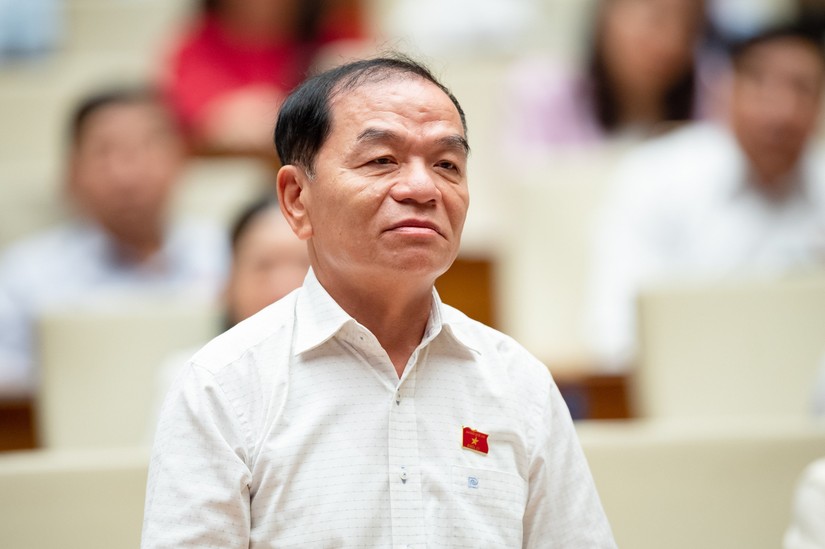 Đại biểu L&ecirc; Thanh V&acirc;n (Đo&agrave;n C&agrave; Mau).