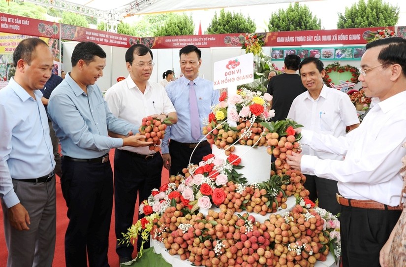 Bắc Giang kết nối ti&ecirc;u thụ cho sản phẩm vải thiều Lục Ngạn vươn xa