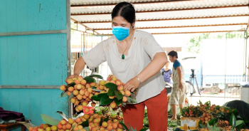 WinMart cam kết tiêu thụ 200 tấn vải Lục Ngạn vụ 2023