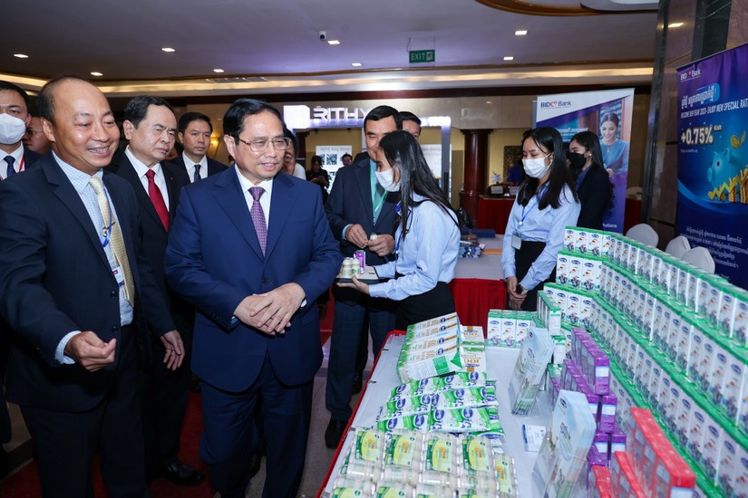 Ng&agrave;nh sữa tiến ra s&acirc;n chơi thế giới, tận dụng tối đa cơ hội v&agrave; lợi thế
