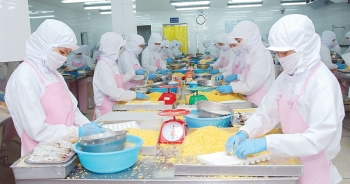 Lãnh đạo CTCP Nông nghiệp Hùng Hậu đồng loạt đăng ký mua vào cổ phiếu SJ1