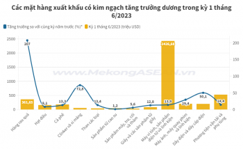Những mặt hàng xuất khẩu tỷ USD nửa đầu tháng 6/2023