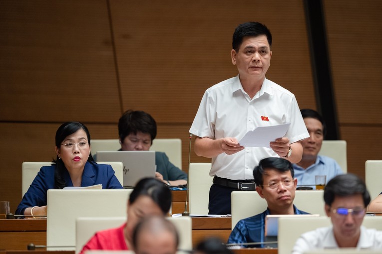 Đại biểu Nguyễn L&acirc;m Th&agrave;nh.
