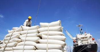 Việt Nam là nhà cung cấp gạo nhập khẩu lớn nhất cho Philippines