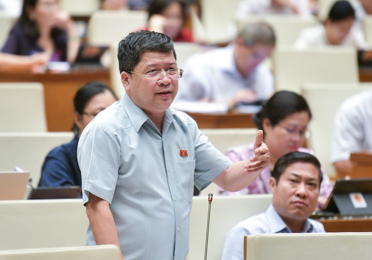 Đại biểu Tạ Văn Hạ (Đo&agrave;n Quảng Nam).