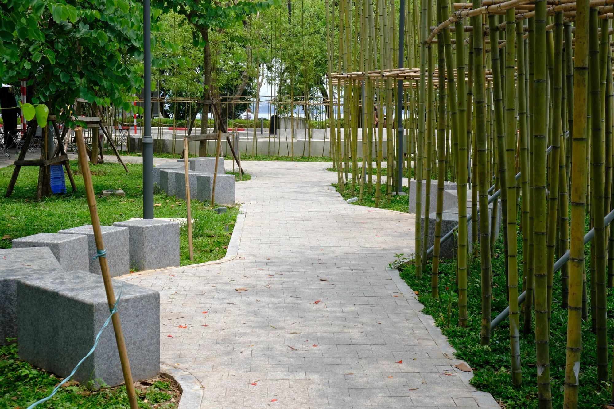 Xung quanh h&agrave;ng c&acirc;y tr&uacute;c được bổ sung th&ecirc;m ghế đ&aacute; để mọi người c&oacute; thể nghỉ ngơi, thư gi&atilde;n. Ảnh: L&ecirc; An/555win Login.