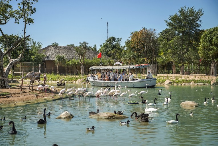 Vinpearl River Safari Nam Hội An &ndash; Vườn th&uacute; du khảo tr&ecirc;n s&ocirc;ng đầu ti&ecirc;n v&agrave; lớn nhất Việt Nam.