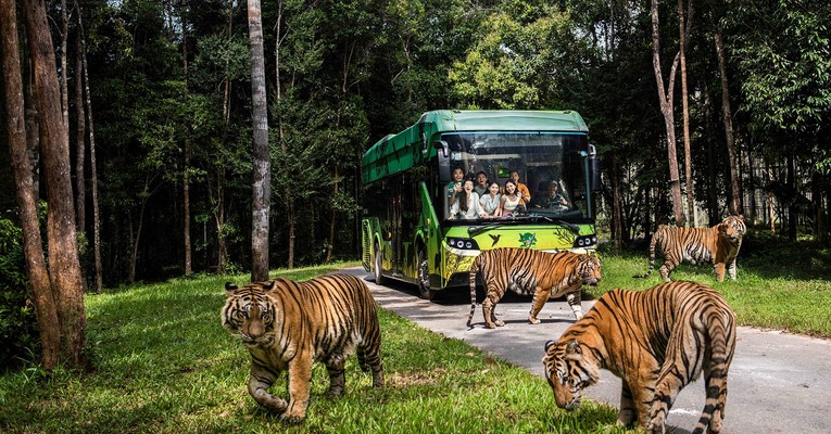 Vinpearl Safari Ph&uacute; Quốc đạt kỷ lục Safari tr&ecirc;n đảo đa dạng lo&agrave;i với số lượng c&aacute; thể nhiều nhất Thế giới.