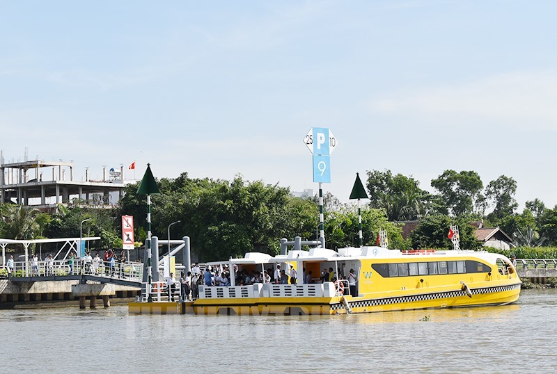 Ảnh minh họa: Th&agrave;nh ủy TP HCM.