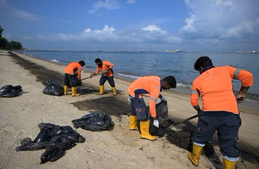 C&aacute;c nh&acirc;n vi&ecirc;n tham gia dọn dẹp sự cố tr&agrave;n dầu tại East Coast Park, Singapore ng&agrave;y 16/6/2024. Ảnh: ST