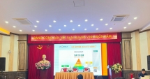 VNDIRECT tổ chức bất thành ĐHĐCĐ thường niên năm 2024