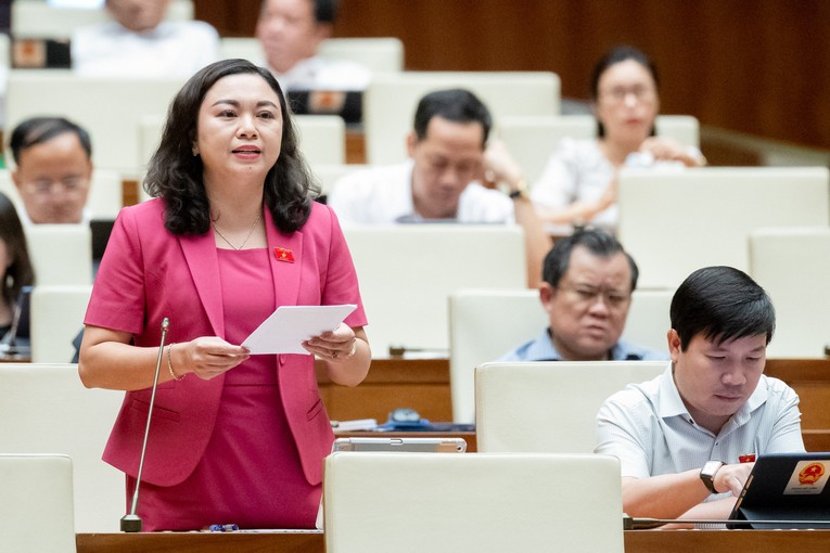 Đại biểu Đặng B&iacute;ch Ngọc (Đo&agrave;n H&ograve;a B&igrave;nh).