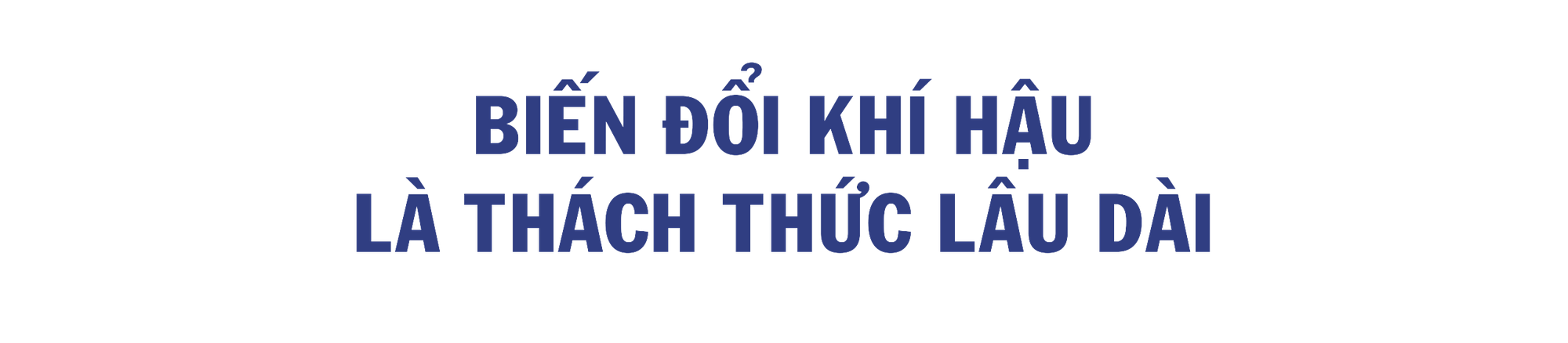 Cà Mau: Từ con tôm đến ngành 555Win login đăng nhập mũi nhọn