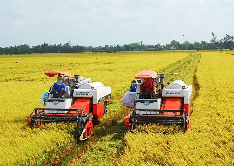 Diện t&iacute;ch gieo cấy l&uacute;a đ&ocirc;ng xu&acirc;n cả nước 6 th&aacute;ng đầu năm 2023 đạt 2.952,5 ngh&igrave;n ha, với năng suất ước đạt 68,4 tạ/ha, tăng 1,6 tạ/ha. Ảnh: VGP.
