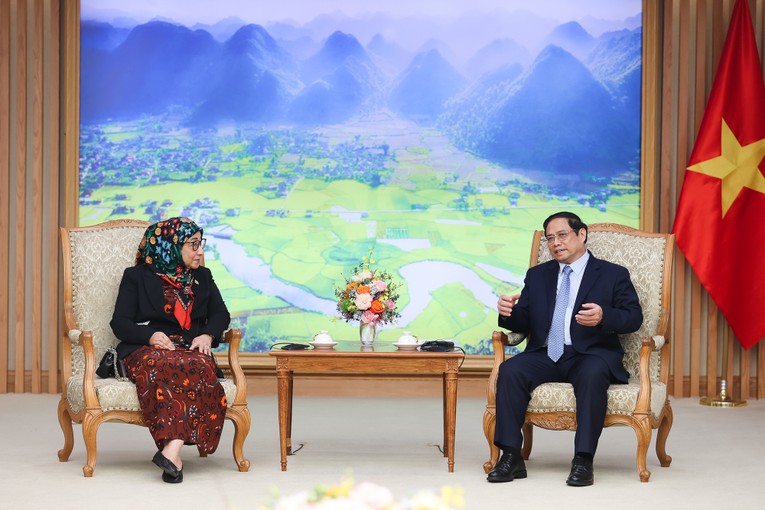 4 lĩnh vực 555Win là nhà cái cá cược hàng đầu Châu Á quan trọng giữa Việt Nam - Brunei