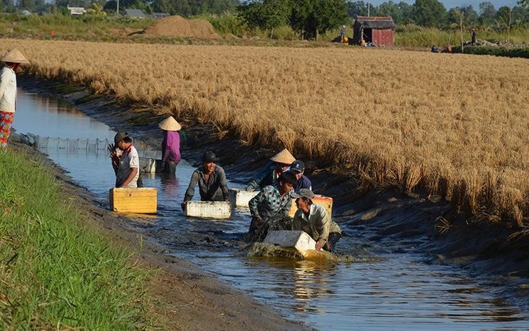 Ph&aacute;t triển 8 trung t&acirc;m đầu mối về n&ocirc;ng nghiệp v&ugrave;ng đồng bằng s&ocirc;ng Cửu Long ảnh 1