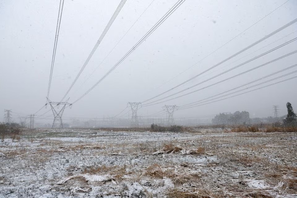 Tuyết rơi tại Brackenhurst, ngoại &ocirc; ph&iacute;a nam Johannesburg, Nam Phi ng&agrave;y 10/7. Ảnh: Reuters