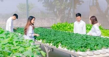 Giải bài toán để cung - cầu lao động ngành nông nghiệp gặp nhau
