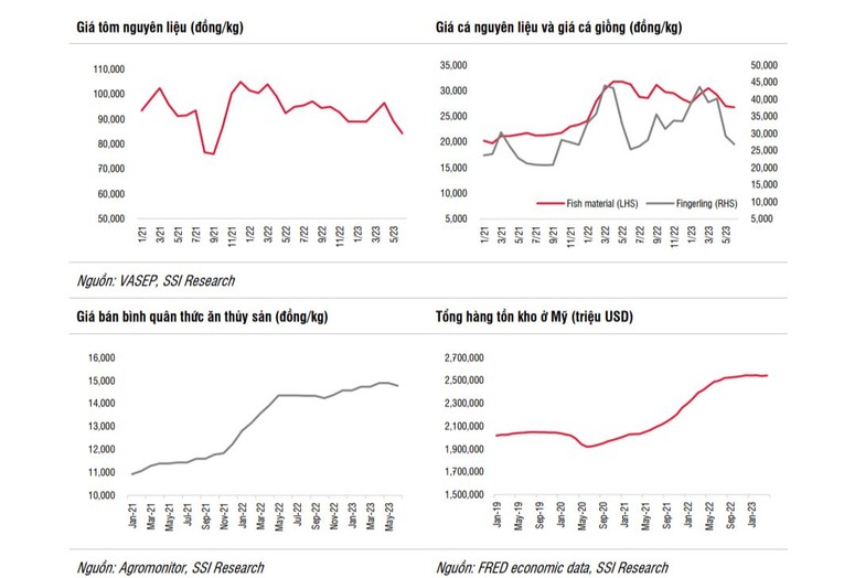 Ảnh: SSI Research