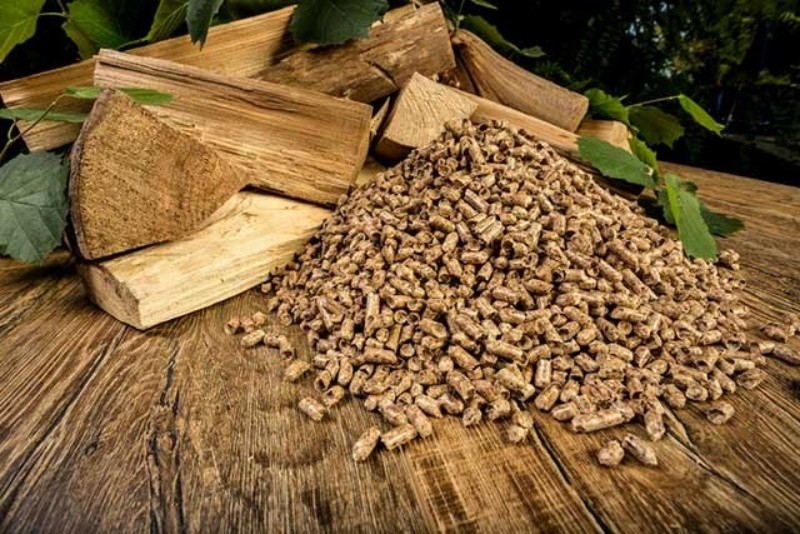 Vi&ecirc;n n&eacute;n gỗ c&oacute; nhiều tiềm năng xuất khẩu. Ảnh minh họa.