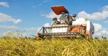 HSBC: Nhiều lĩnh vực của ASEAN sắp phải chịu ảnh hưởng trực tiếp từ El Nino