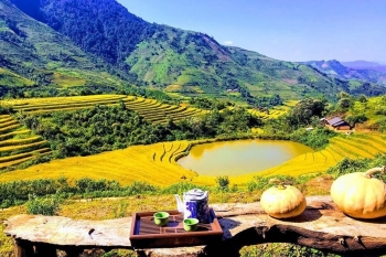 Nông thôn Việt 'thay da đổi thịt' từ khởi nghiệp du lịch nông nghiệp