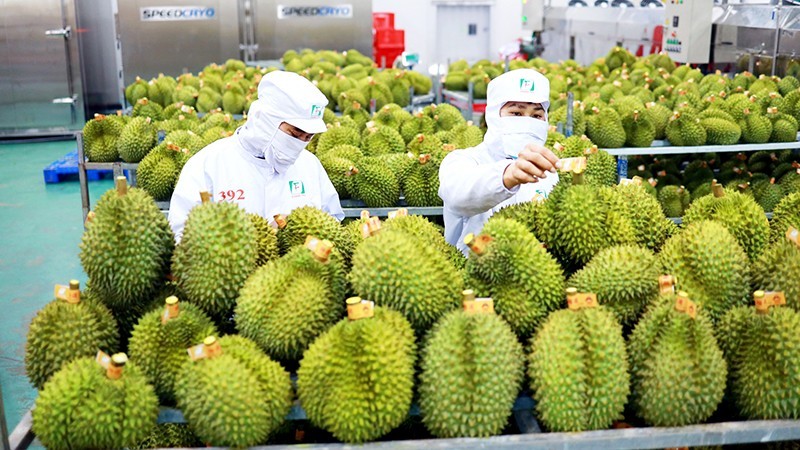 Sunwah hỗ trợ chuỗi cung ứng n&ocirc;ng sản Việt ở Trung Quốc. Ảnh minh họa.